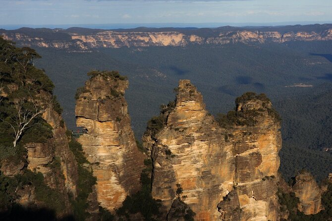 Private Blue Mountains Day Trip VIP from Sydney luxury Mercedes - The real cost and who gets good value