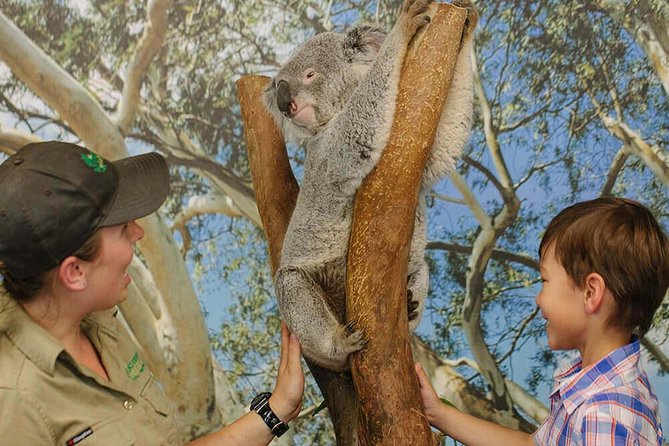 Private Blue Mountains High Country Day Trip from Sydney - Glenbrook morning tea with a chance of wild kangaroos