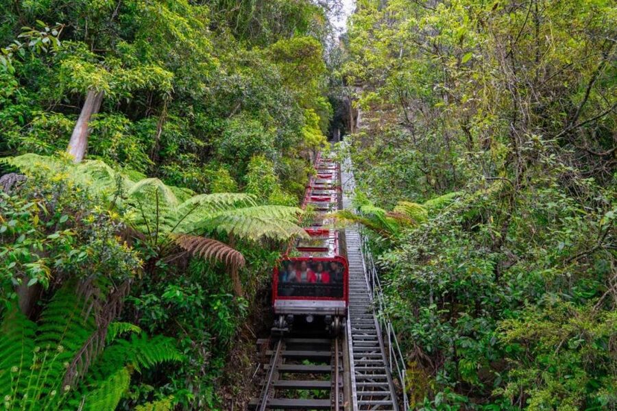 Private Blue Mountains, Scenic World & Wentworth Falls Tour - Katoomba Falls and two extra lookouts