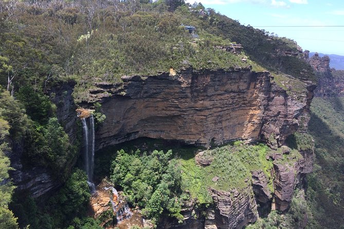 PRIVATE Blue Mountains tour & Koalas, Kangaroos, Cruise plus more - Key points at a glance