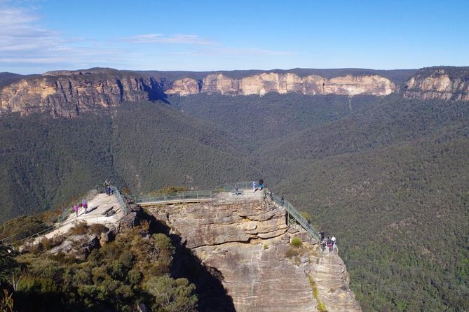 PRIVATE Blue Mountains tour & Koalas, Kangaroos, Cruise plus more - A private day from Sydney to the Blue Mountains