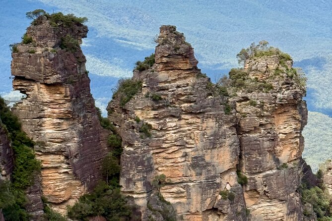 PRIVATE Blue Mountains tour & Koalas, Kangaroos, Cruise plus more - Leura village and the quieter lookouts