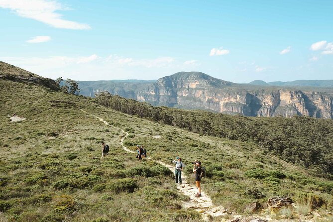 Private Blue Mountains Tour | Waterfalls, Koalas & Views - Wentworth Falls is the day’s best walk