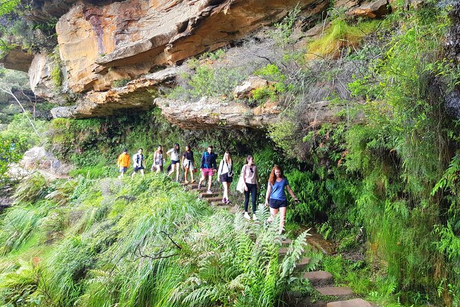 PRIVATE Blue Mountains Tour, Wildlife Park and River Cruise - Katoomba and Leura, two very different stops
