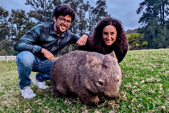 PRIVATE Blue Mountains Tour, Wildlife Park and River Cruise - Aboriginal culture and the wider Blue Mountains