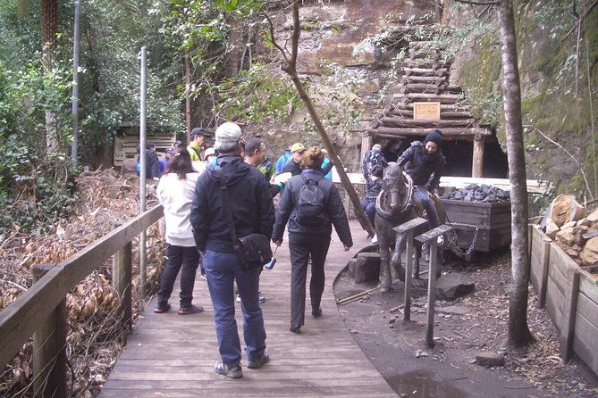 PRIVATE Blue Mountains Tour with Expert Guide - Cahill’s and Eagle Hawk add quieter viewpoints