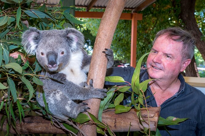 PRIVATE Blue Mountains Wilderness & Wildlife Late Start Tour - Why the 11 a.m. departure changes the day