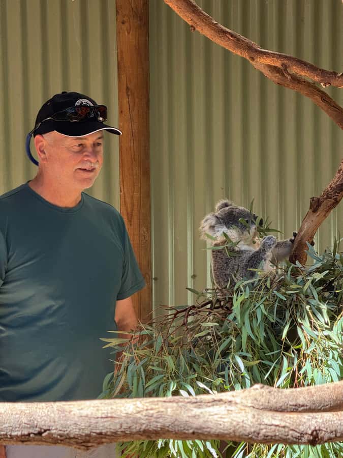 Private BlueMountains, ScenicWorld & AustralianWildlife Tour - Key points at a glance