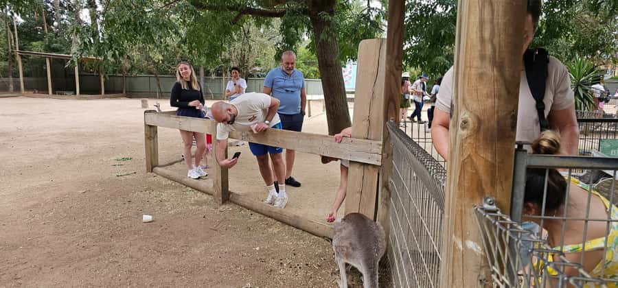 Private BlueMountains, ScenicWorld & AustralianWildlife Tour - Leura brings a slower village-style pause