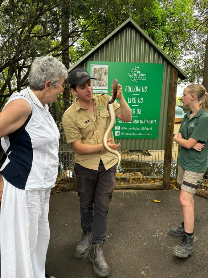Private BlueMountains, ScenicWorld & AustralianWildlife Tour - Lookouts for changing light and wide views