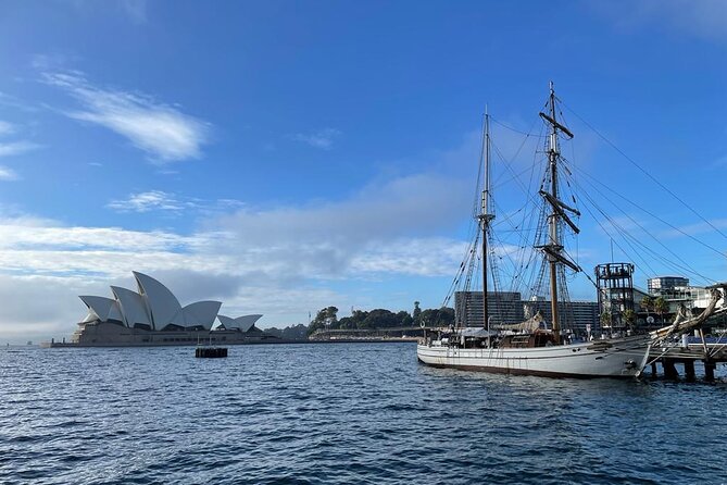 Private City Tour: Best of Sydney - Harbour Bridge views from street level and above