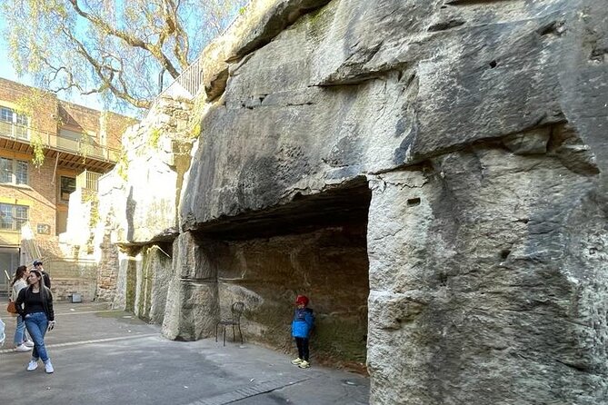 Private City Tour: Best of Sydney - What the $276.14 price includes