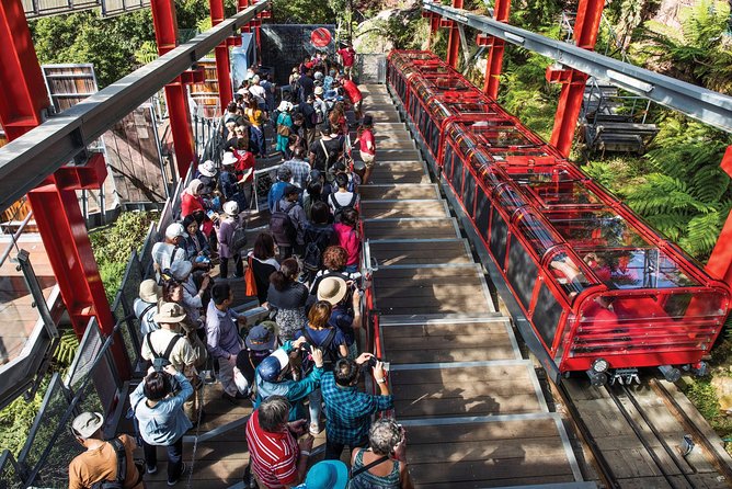 Private Guided Tour: Blue Mountains Tour from Sydney - Cahill’s Lookout and the quieter side of the day