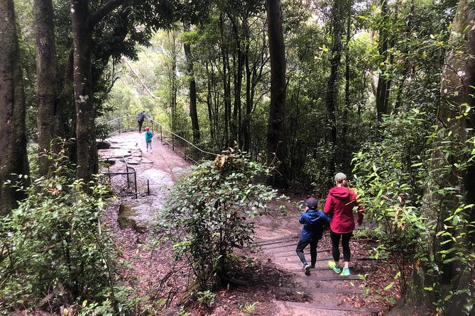 Private Guided Tour from Sydney to Blue Mountains National Park - Scenic Railway, Cableway, and Skyway