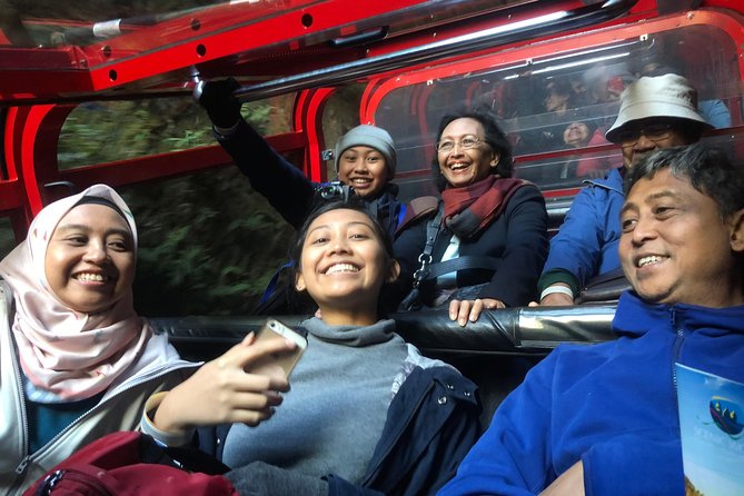 Private Guided Tour from Sydney to Blue Mountains National Park - Timing, transport, and physical comfort