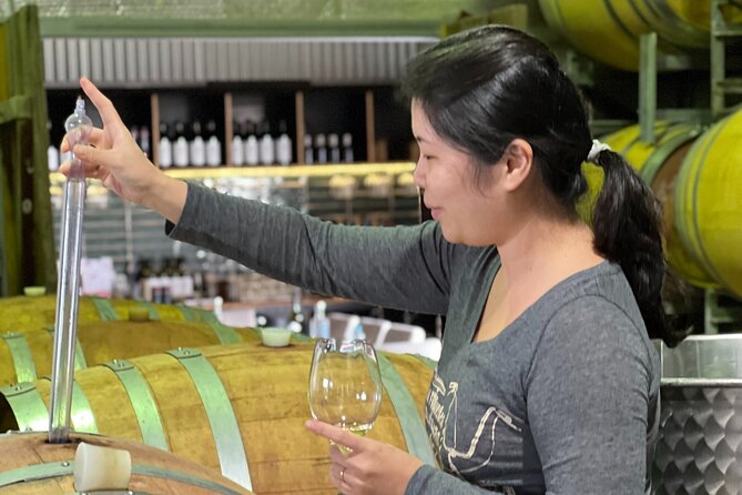 Private Hunter Valley Luxury Tour From Sydney - Binnorie Dairy and the taste of the region