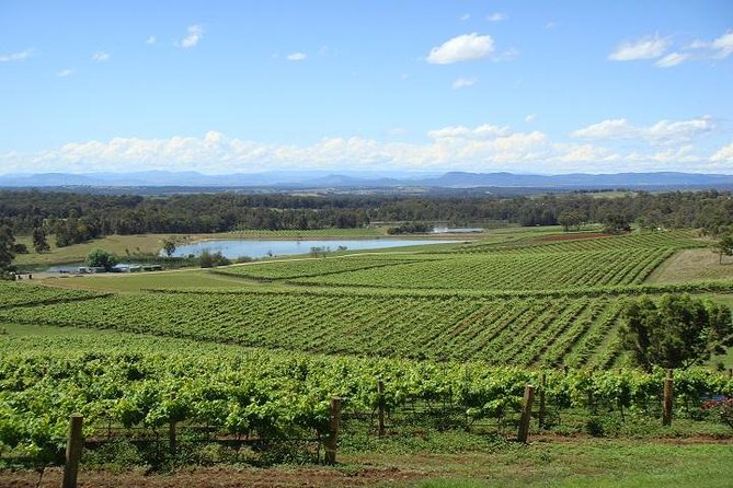 Private Hunter Valley Wine-Tasting Day Tour from Sydney - Leaving Sydney for the Hunter Valley