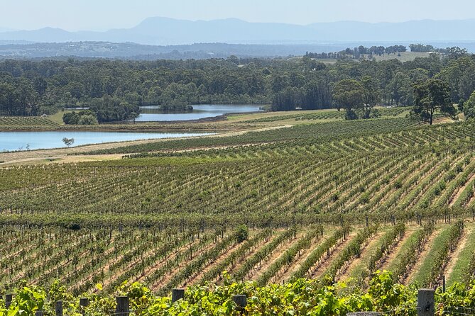 Private Hunter Valley Wine Tasting Tour from Sydney - Is $465.49 per person good value?