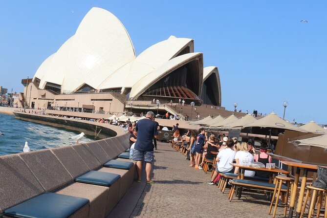 Private Luxury Half Day Sydney City Tour - What this private Sydney tour is really like