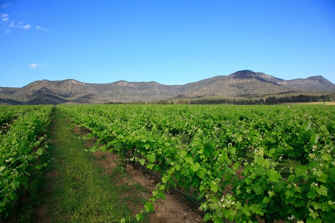 Private Luxury Tour: Tastes of the Hunter Valley - Wine, chocolate, and cheese add balance