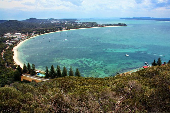 Private Port Stephens Day Trip from Sydney incl Dolphin Cruise - Three hours aboard Moonshadow Catamaran