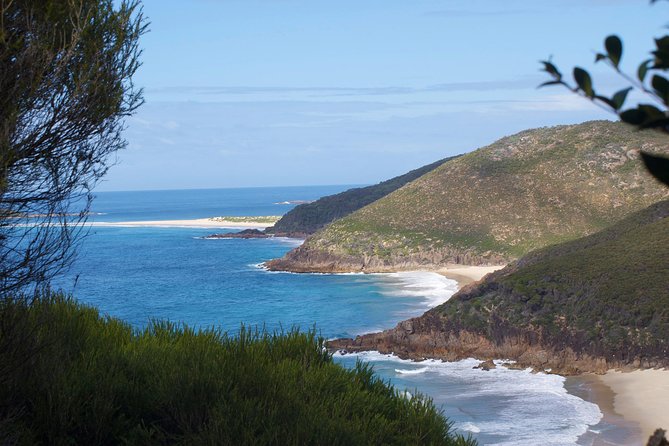 Private Port Stephens Day Trip from Sydney incl Dolphin Cruise - Is $559.45 per person good value?