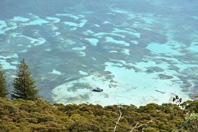 Private Port Stephens Day Trip from Sydney incl Dolphin Cruise - Practical advice for making the day work