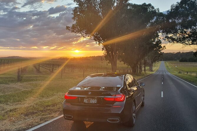 Private Pro Photography- Sydney -price per group of 4 - Who Should Book This Experience