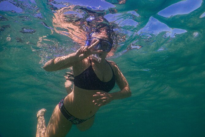 Private Snorkeling Tour In Sydney's Marine Reserve - A route shaped around the day’s marine activity