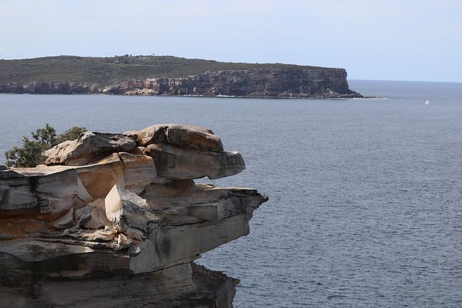 Private Sydney City and Bondi Beach Half Day Tour - Oxford Street and Sydney’s changing suburbs