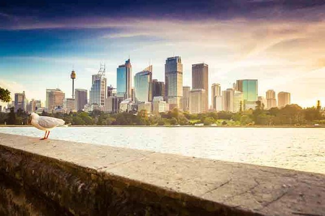 Private Sydney City and Bondi Beach Half Day Tour - Bondi Beach gets the longest stop