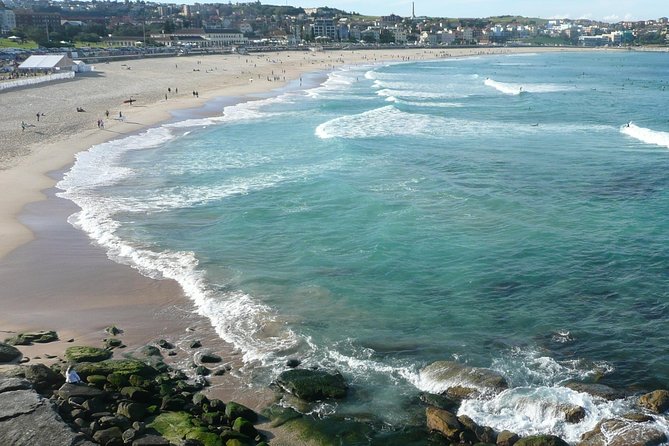 Private Sydney City Tour: The Key Attractions - Sydney’s harbor views are only the beginning
