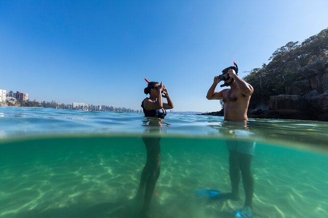 Private Sydney Snorkeling Experience: Explore Cabbage Tree Bay - Value at $121.93 per person