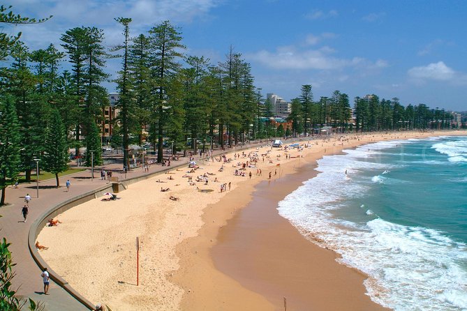 Private Sydney Tour Including Sydney Opera House, Bondi and Manly - Crossing the Harbour Bridge and changing the view