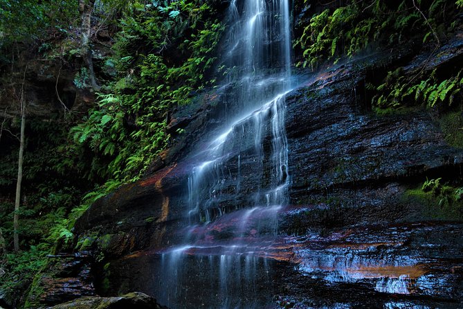 Private Tour Blue Mountains Day Adventure Wildlife + River Cruise - Featherdale Wildlife Park begins the day