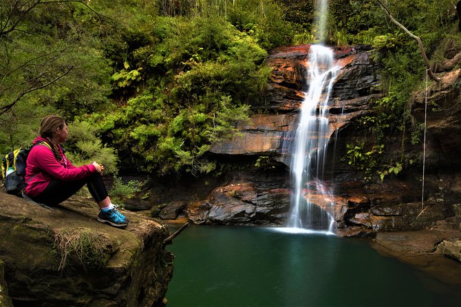 Private Tour Blue Mountains Day Adventure Wildlife + River Cruise - Lookouts, waterfalls, and the option to swim