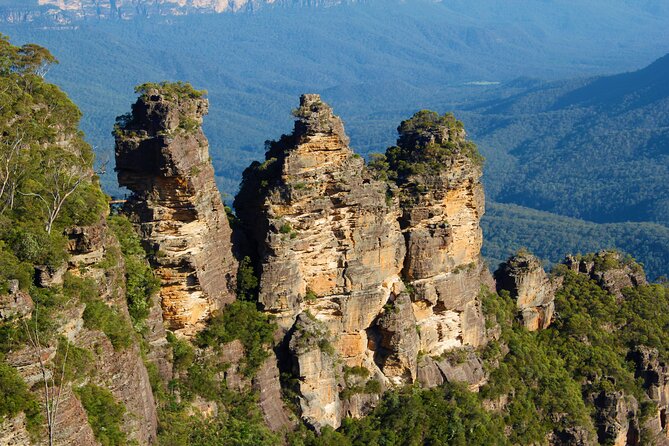 Private Tour Blue Mountains Day Adventure Wildlife + River Cruise - Practical planning for the 9:30 a.m. start