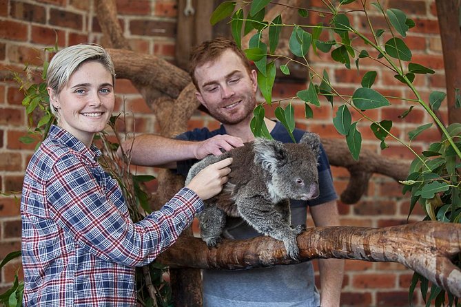 Private Tour: Blue Mountains Day Trip from Sydney - Calmsley Hill: Australian Animals Before the Crowds