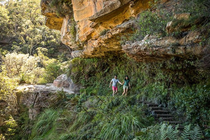 Private Tour: Blue Mountains Hiking & Nature - Why this private Blue Mountains day works