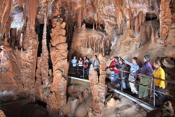 Private Tour: Jenolan Caves & Blue Mountains in a day - Key points to know before booking