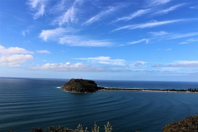 Private tour of Ku-Ring-Gai National Park and Northern Beaches - Why this private Sydney day works so well