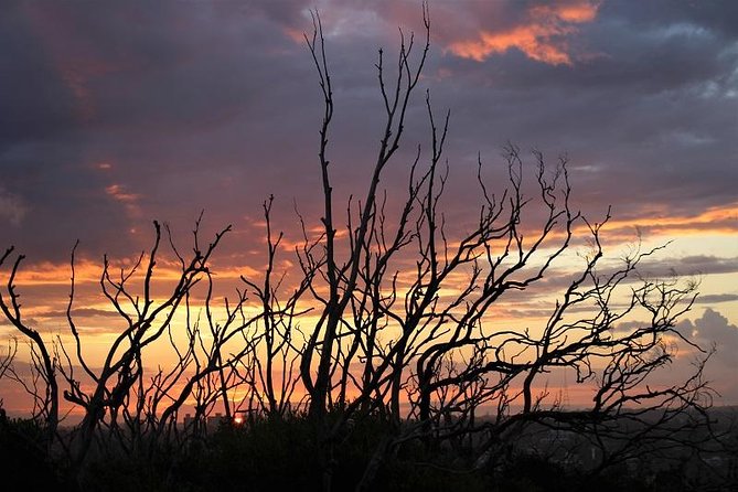 Private tour of Ku-Ring-Gai National Park and Northern Beaches - West Head and Aboriginal rock art in Ku-Ring-Gai Chase