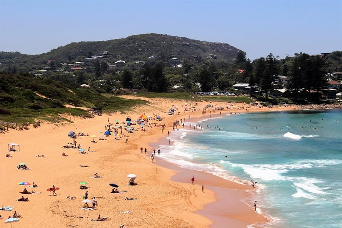 Private tour of Ku-Ring-Gai National Park and Northern Beaches - A guide-led day that can change shape
