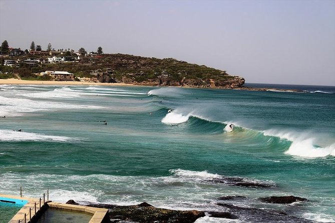 Private tour of Ku-Ring-Gai National Park and Northern Beaches - Is the $377.22 price good value?