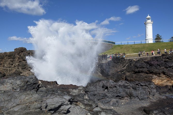 Private Tour: Sydney South Coast & Highlands - A full day from Sydney to the South Coast