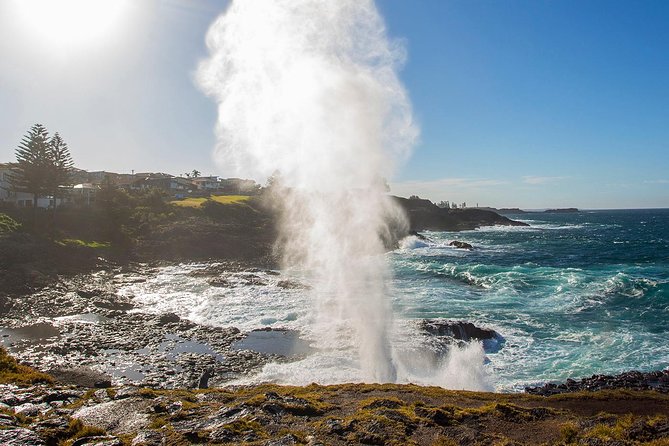 Private Tour: Sydney South Coast & Highlands - Saddleback Mountain is the right place to pause