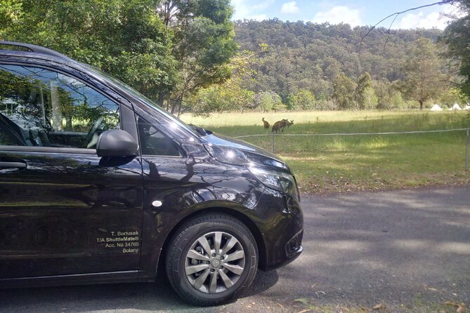 Private Transfer FROM Sydney CBD to Sydney Airport 1 to 5 people - Why families may find this easier than a taxi