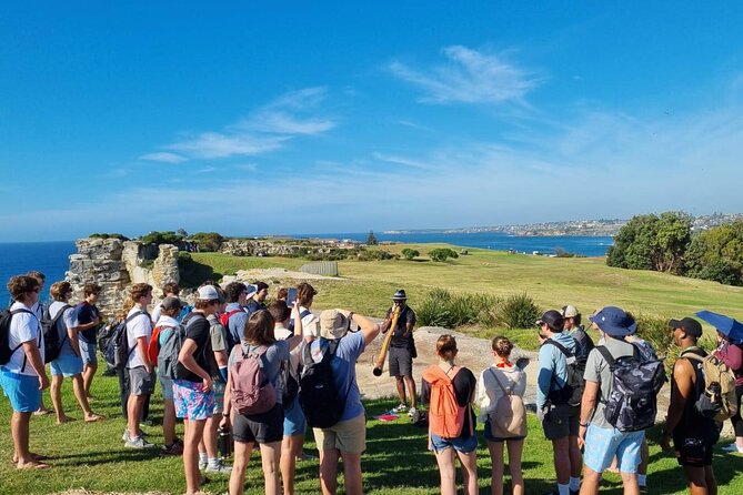 Private Walangari's Aboriginal Walking Tour in Bondi Beach - Ancient rock carvings along the route
