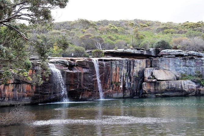 Royal National Park Private Tour - Why this private Sydney day works so well