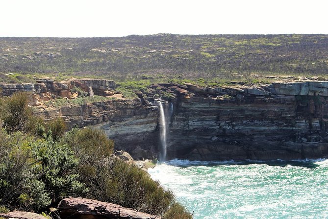 Royal National Park Private Tour - Wattamolla combines waterfall, lagoon, and lunch